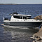 Sargo -36_93