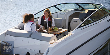 Flipper: Flipper 650 DC, фото 1