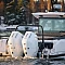 Axopar 38 XC Cross Cabin - вид моторов на корме катера