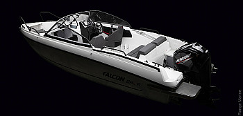 Falcon BRs6, фото 1 Falcon: Falcon BRs6, фото 1