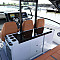 kater-saxtor-320-gto_18