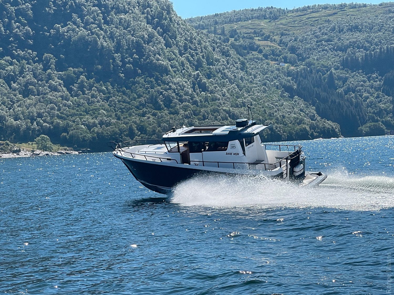 sargo-36-2019_39