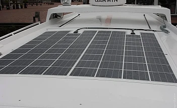 Sargo -36_5