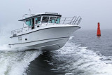 Nord Star 32 Patrol (2018)
